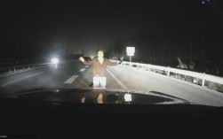 夫妻深夜高速开车 突遇陌生人拦车并爬上引擎盖引网友热议：结果男子被带走 ！