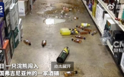 美国一浣熊大闹酒铺 偷喝烈酒后醉倒厕所 超萌姿态逗笑网友 ！