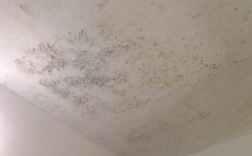 屋里棚顶发霉怎么回事?