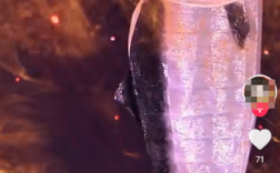 挪威环球小姐扮成三文鱼走红网络 银粉战衣完美复刻鱼头超吸睛 ！