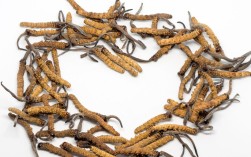 冬虫夏草怎么挑选（指导挑选优质冬虫夏草的方法和技巧） !