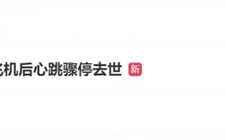 女子坐11小时飞机后心跳骤停：最终不幸去世 !