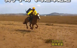游客在大草原点外卖 骑手小哥飞马追车送达 网友：遇到了真骑手 不白来 !