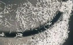 济南下起暴雨梨花针 专家释疑：与两个因素有关 ！