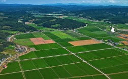 基本农田适合种植什么（介绍基本农田适合种植的农作物） ！
