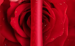 售价3.2万！董明珠回应玫瑰空调争议：没有人将空调打造成艺术品 你不喜欢有人喜欢 ！