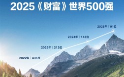 比亚迪迈入全球百强！跃居2025《财富》世界500强第91位 !