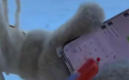 游客带火腿肠勇闯东北 玩手机不冻手 饿了还能充饥 ！