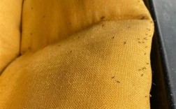 紧急提醒：最近不要穿这种颜色的衣服出门！ 