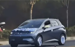 天神之眼智驾上车！新款比亚迪海豚实车曝光 ！