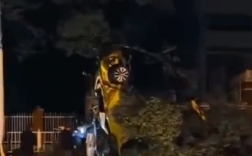 重庆一汽车发生翻车事故:车尾朝天靠树上 气囊弹开男子自行脱困爬出 !