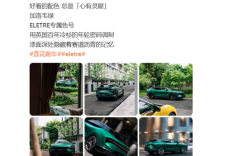 莲花跑车上线专属绿色车漆：如有雷同 绝非巧合 ！