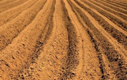 土壤变酸的简单方法（分享改变土壤酸性的简单技巧） ！