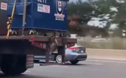 高速公路上演“逃生记”！浣熊惊险下车 看得人捏把汗 !