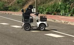 拉布拉多独自驾电动车上路被扣车 狗主人:它是网红 还在学叉车 !
