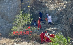 5口之家爬野山被AI坑惨 男子失足滑落差点有去无回 ！