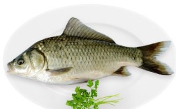  鲫鱼喜欢吃什么味道的饵料（鲫鱼对什么味道的饵料偏好） ！