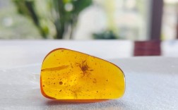 琥珀是什么样子的（描绘琥珀的外观和特点） ！