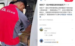 静悄悄干大事！京东物流进军“大户”沙特：已有上千人团队 ！