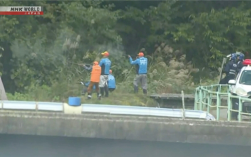 今年已致13人死亡！日本熊灾现场有明显吃人痕迹 !