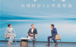 魏建军：隐藏式门把手风阻降了0.001但增重8公斤 后来我们就不用了 ！