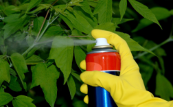 房间喷杀虫剂后衣物可以穿吗?