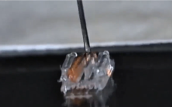 3D打印或能让瘫痪者再次行走：已在动物身上验证 !