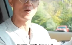 多平台被禁言 偷税247.48万元！一条广告报价80万 揭秘陈震究竟有多赚钱 ！