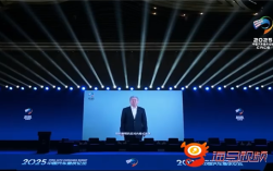 奇瑞尹同跃：降价是应对竞争的最无奈一招 是饮鸩止渴 !