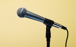 已有多位《中国好声音》歌手因病离世：令人惋惜 !