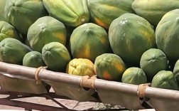 拉肚子期间不宜食用的水果（介绍腹泻时不宜食用的水果） ！
