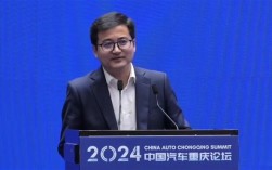 比亚迪李云飞：电池等原材料降价不在车价中体现 是对消费者的不道德 ！