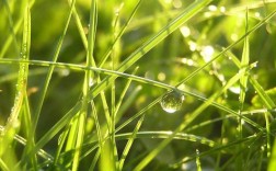 露水情缘多久一次（露水情缘事件的一般发生频率）！