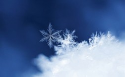 北京山区下雪了：雪花肉眼可见 !