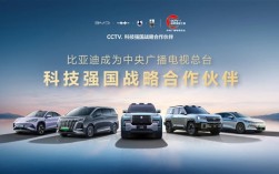比亚迪成为CCTV科技强国战略合作伙伴：打造世界级品牌 ！