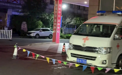 江苏一女子半夜上厕所 马桶里窜出一条蛇顶到屁股 !