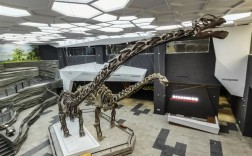 重庆发现巨型恐龙新物种 体长可达24米 改写东亚恐龙演化格局 ！