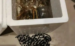 5两的大闸蟹捆了1两的绳子 ！网友：卖蟹还是卖绳？