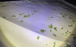 北京冰雹车盖被砸出气泡膜！车主：车玻璃砸碎 车身全是坑 !