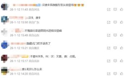 比亚迪9系征名大战！大汉大唐VS汉9唐9：网友争论不休 !