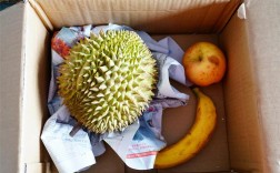 催熟榴莲的方法和技巧（分享如何催熟未熟榴莲的实用方法） ！