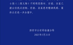 官方通报男子跳至兵马俑三号坑：造成二级文物两尊铠甲武士俑损坏 ！