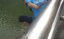 还有餐没送！50岁外卖小哥跳桥救人后默默离开 平台回应 !
