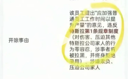 网传特斯拉产线组长因提倡加班提升产能 结果被全票表决开除 ！