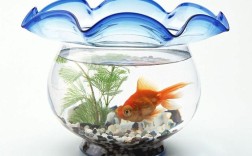 为什么不能接受旧鱼缸（拒绝接受旧鱼缸的原因） ！