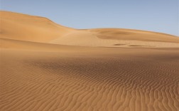 甘肃敦煌上演“堵骆驼” 网友：告诉王维 西出阳关全是人 !