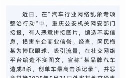 造谣称某品牌汽车创单车最高击杀记录 官方通报：已对其处以行政处罚 ！