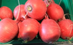 适合寒性体质的蔬菜推荐（为寒性体质推荐适合的蔬菜） ！