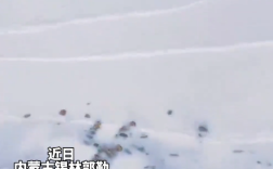 美翻！内蒙古“牛奶湖”奇观火出圈 湖水因矿物颗粒现乳白色 ！