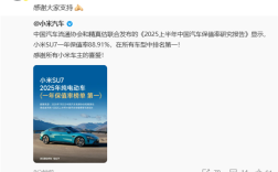 最新！中国纯电/插混车型一年保值率排名出炉：小米SU7、问界M9夺冠 ！